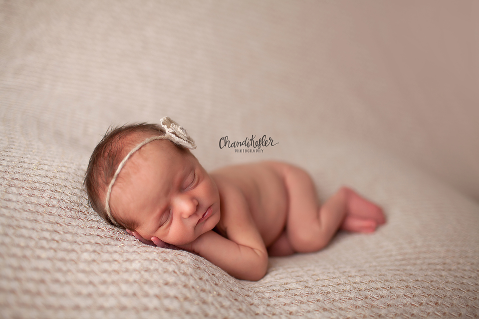 Bloomington Illinois Photographer Wren 6 Day Old Baby Girl Chandi Kesler Photography