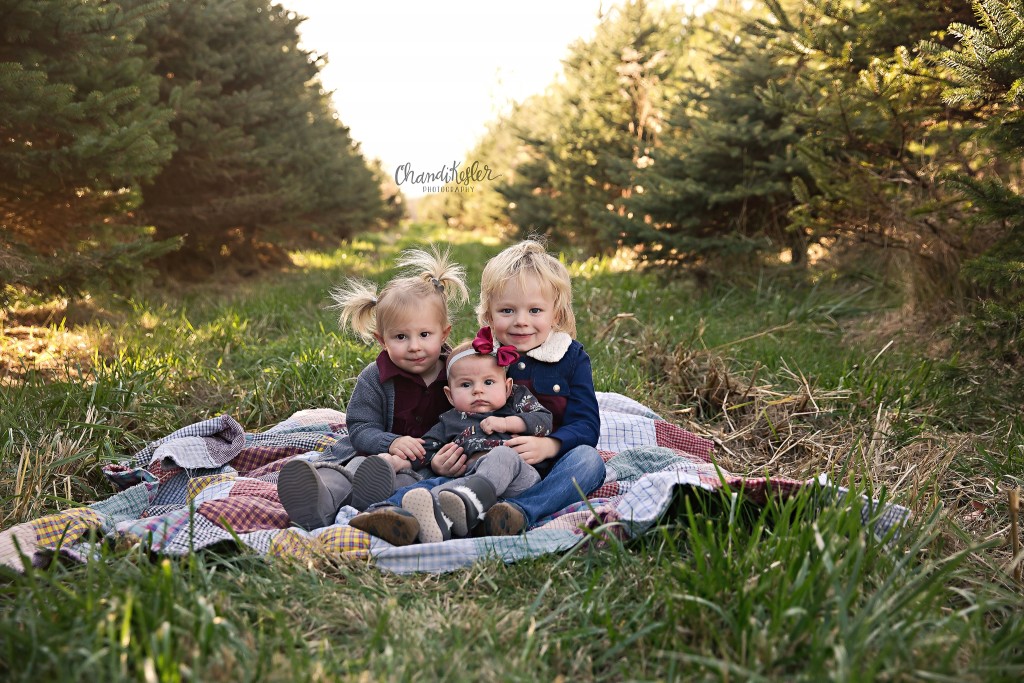 Christmas Tree Farm Mini Sessions | Clinton IL Family Mackinaw Child Photographer