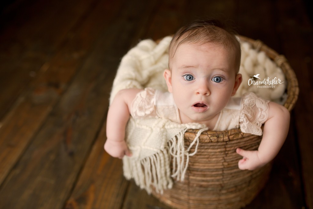 5 Month Baby Session with Ivy | Lincoln IL Baby Photographer