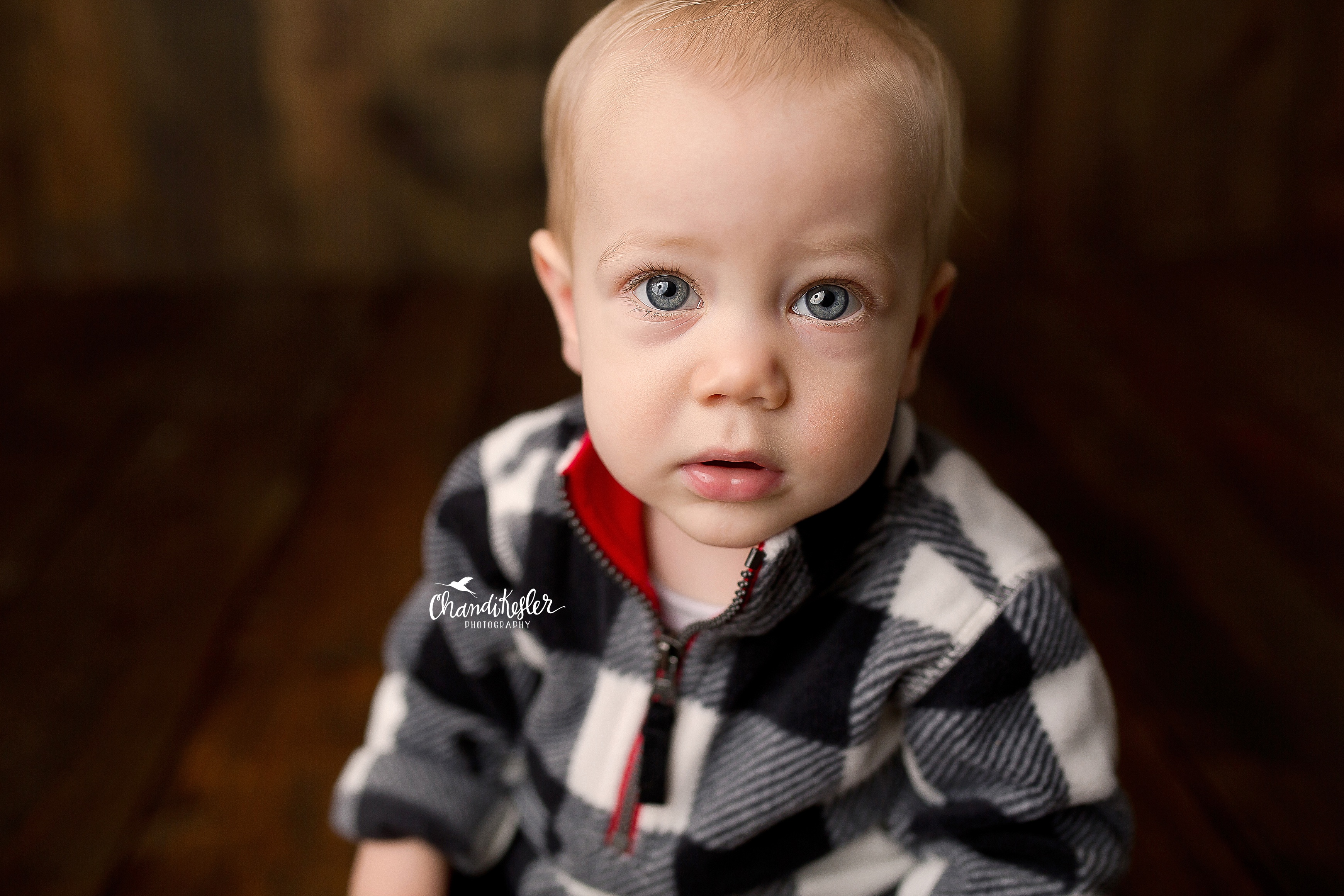 Lincoln IL Photographer | Chandi Kesler Photography | One Year Pictures