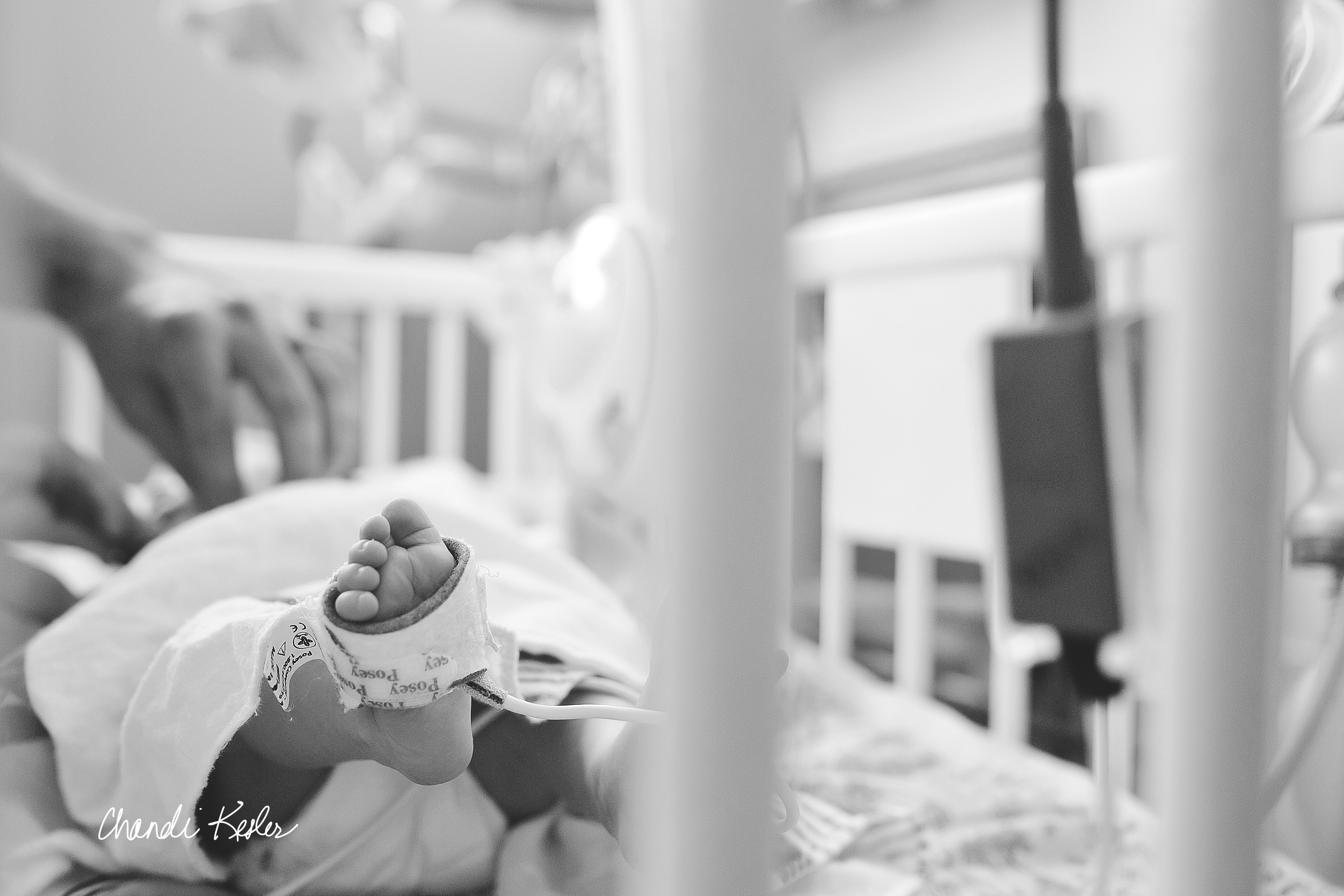 Hospital photographer Central IL | Chandi Kesler Photography | Urbana IL Newborn Photographer