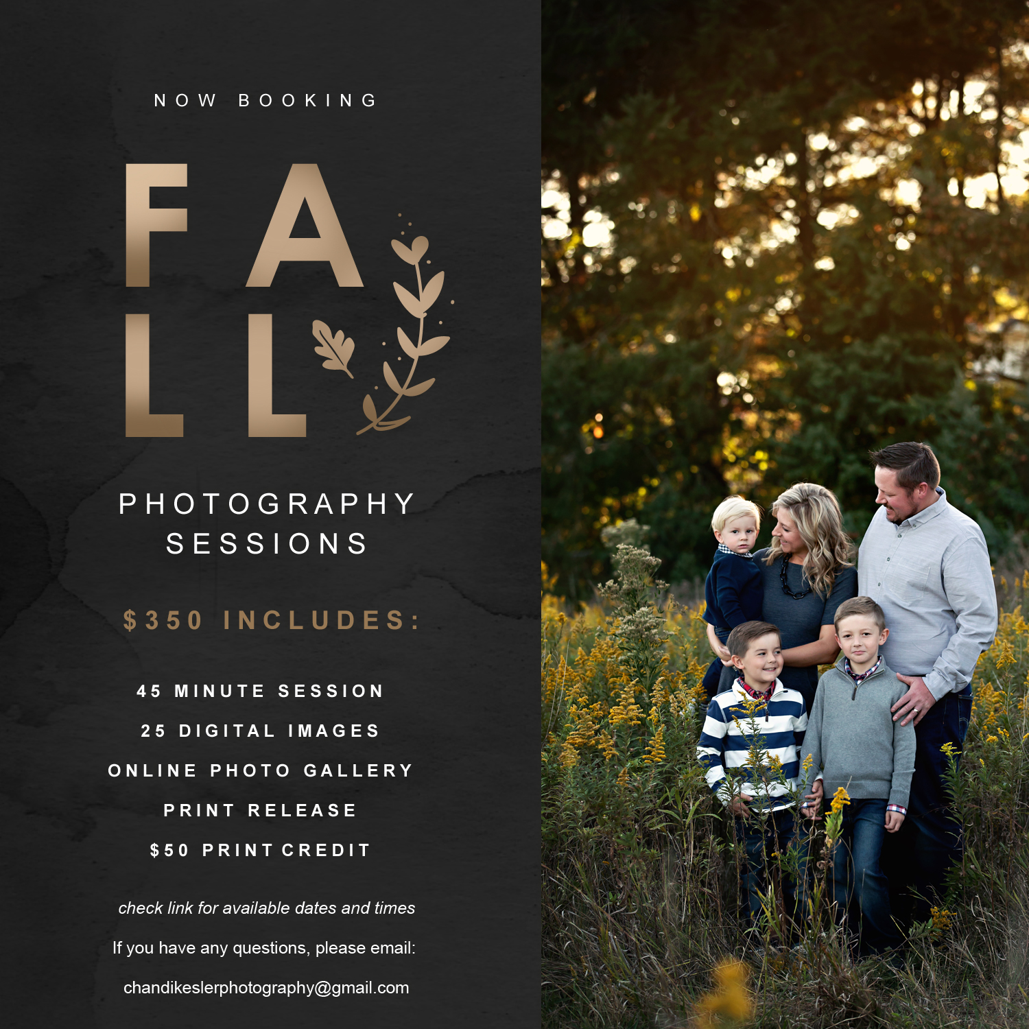 Now Booking Fall Photography Sessions | Decatur IL Family Mahomet IL Child Photographer