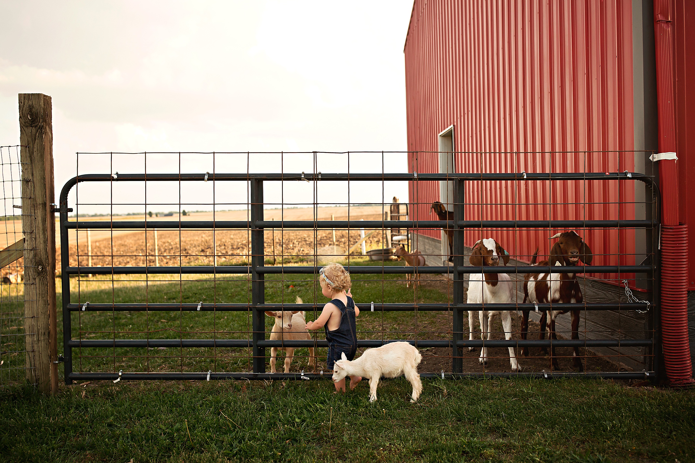 Monticello IL Newborn Photographer | Chandi Kesler Photography