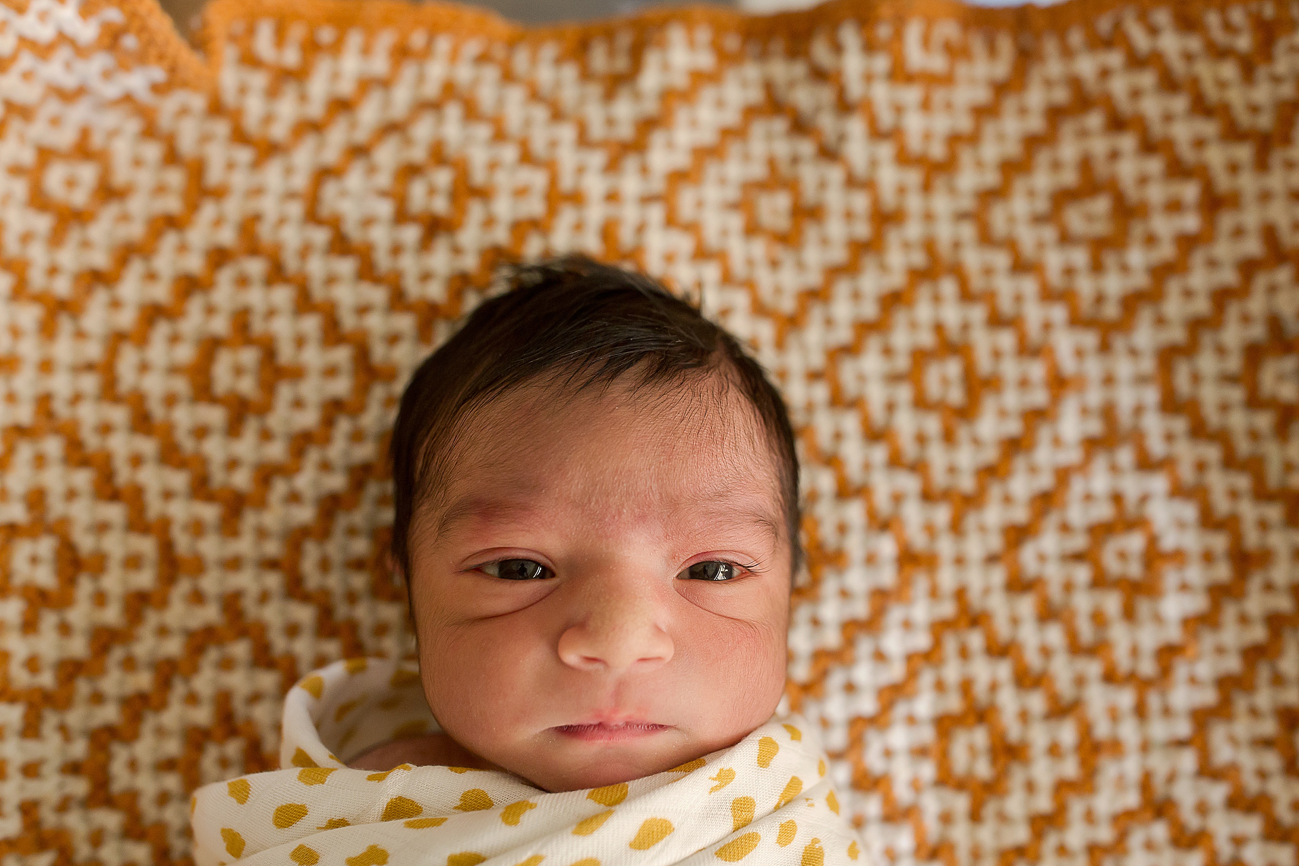 Hospital Newborn Photographer Bloomington IL | Chandi Kesler Photography