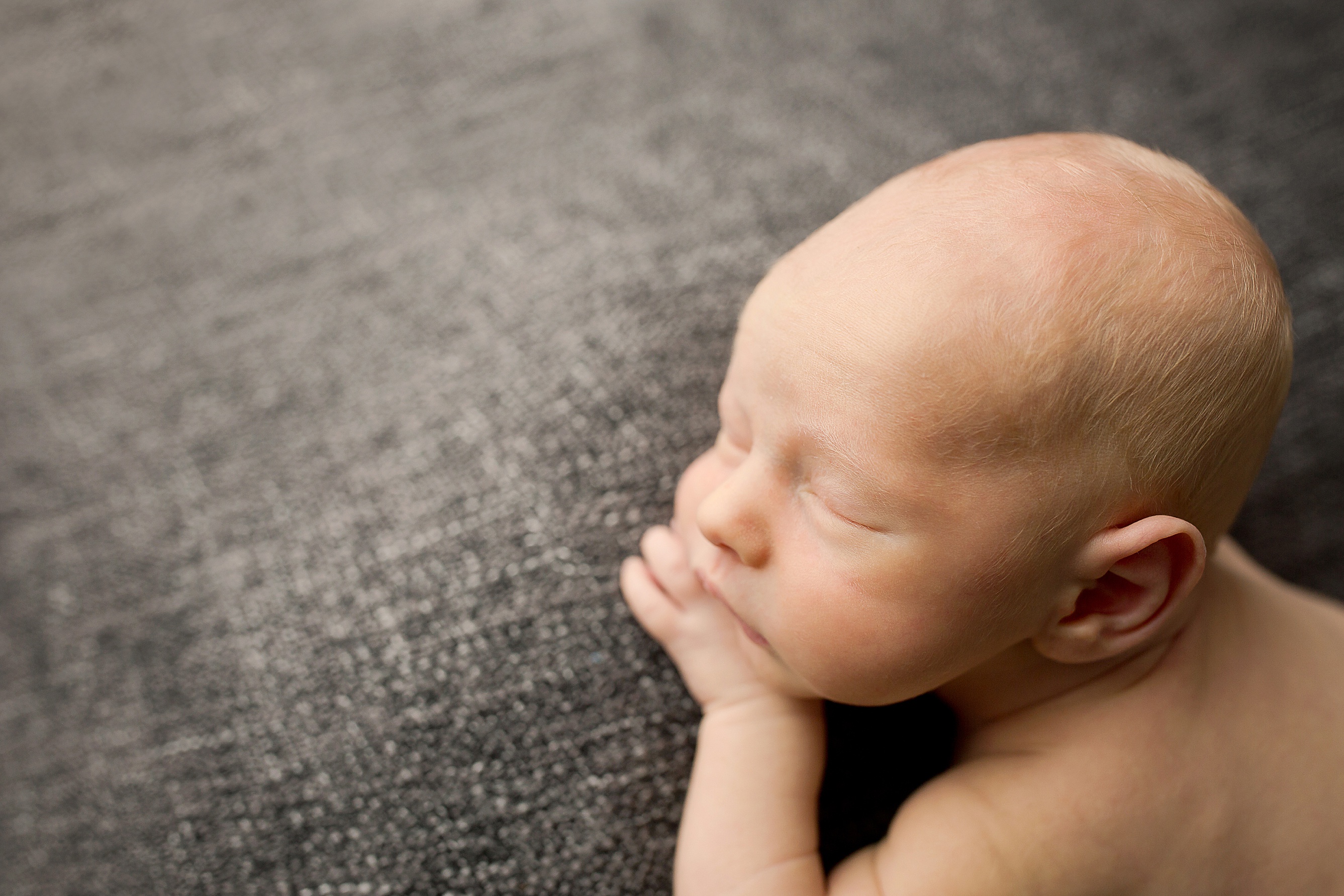 Newborn Photographer Mahomet IL | Chandi Kesler Photography