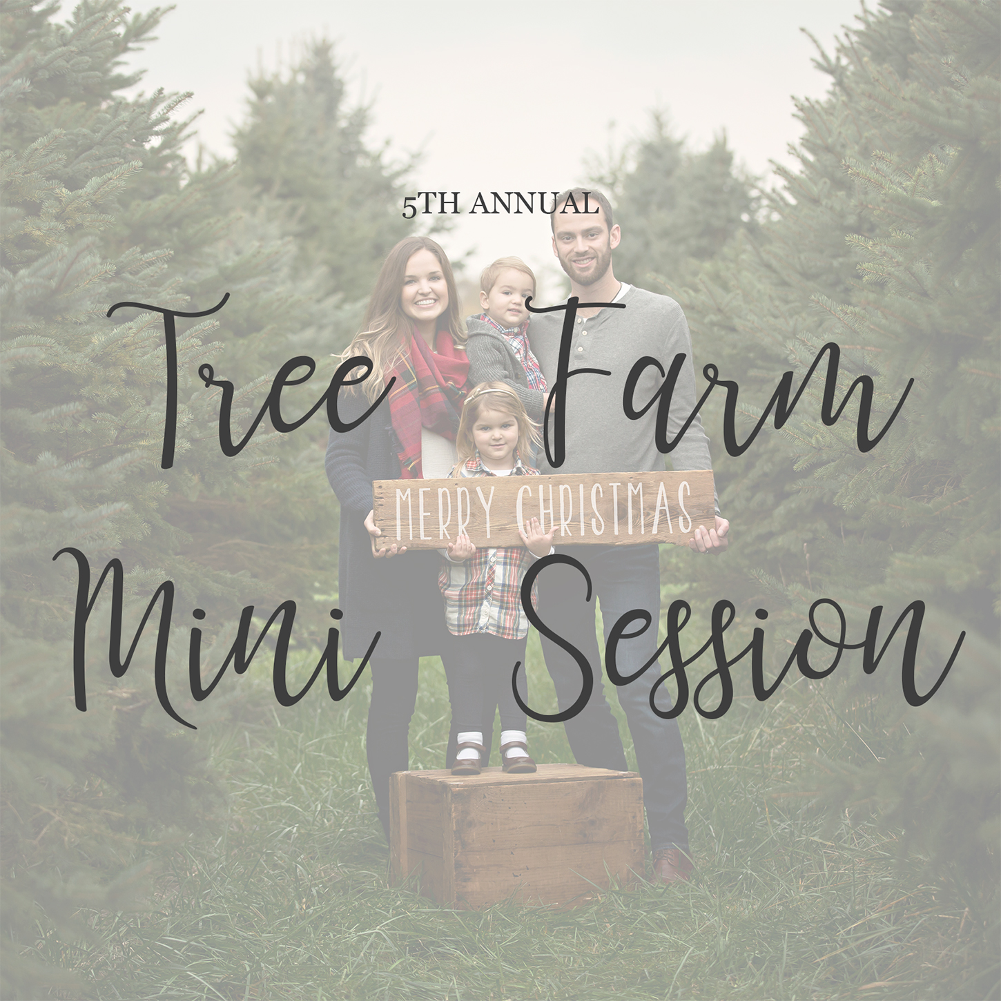 Now Booking 2019 Tree Farm Mini Sessions