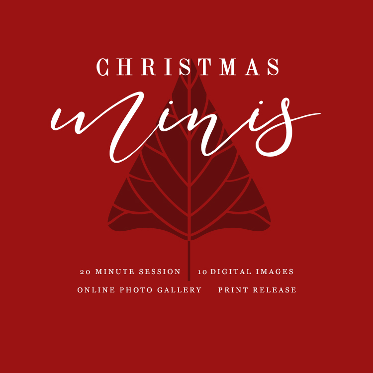 2019 Christmas Mini Sessions | Now Booking